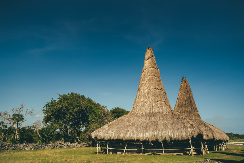 Traditional Sumbanese Houses. Indonesian Village.